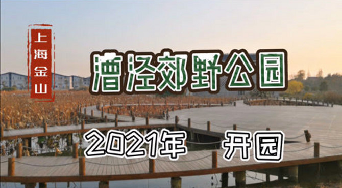 42 上海金山 漕泾郊野公园 2021年开园