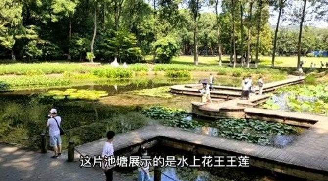 中国科学院武汉植物园是中国三大核心科学植物园之一