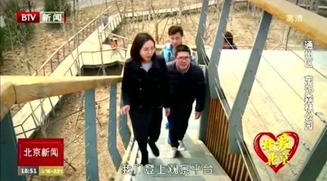 我爱北京 通州区 东郊森林公园