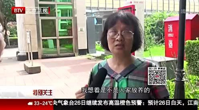 通惠河救大鲵