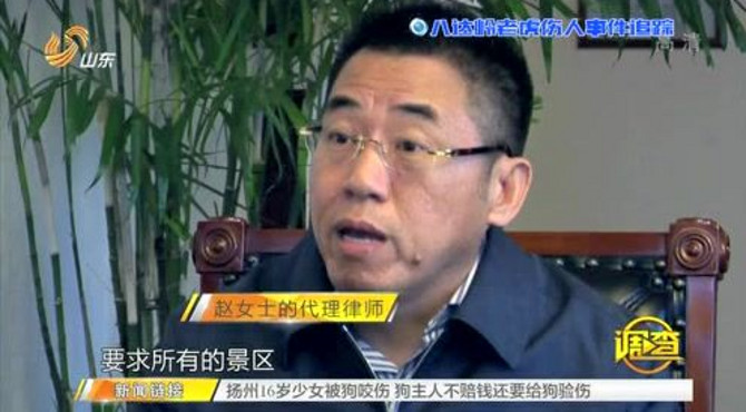 “老虎伤人事件”再发酵 法院受理八达岭野生动物世界侵权案