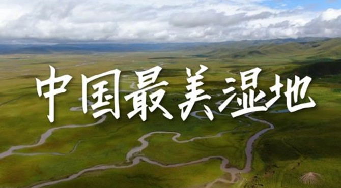 中国最美湿地公园，你知道是那个湿地公园吗