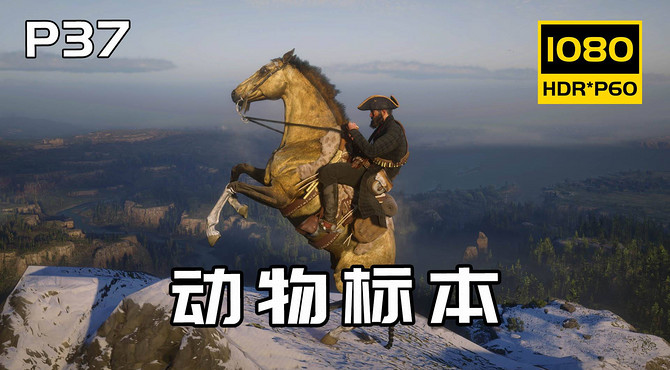 史上第二肝任务，3星动物标本搜集攻略，建议收藏！荒野大镖客2