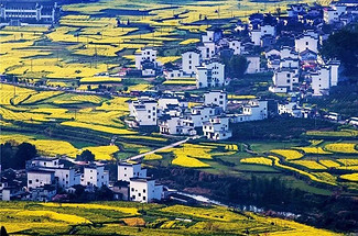 【遇见徽州·婺源皖南6日】婺源全景游+江岭+江湾+篁岭+徽州深度游+新安江+卖花渔村+云山村落木梨硔+祖源村+石潭日落晨雾+10人休闲摄影小团&私家团