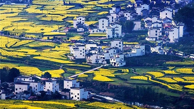 【遇见徽州·婺源皖南6日】婺源徽州全景游+春日油菜花+江岭+江湾+篁岭+徽州深度游+新安江+卖花渔村+云山村落木梨硔+祖源村+石潭日落晨雾+10人休闲摄影小团&私家团