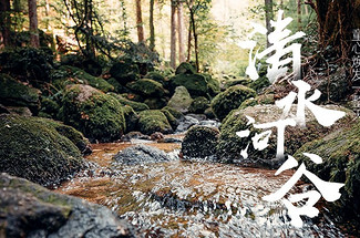 【北京一周一山·清水河】休闲级|10公里|探寻自然之美与心灵对话+徒步穿越花海溪流+玩转整个夏季~