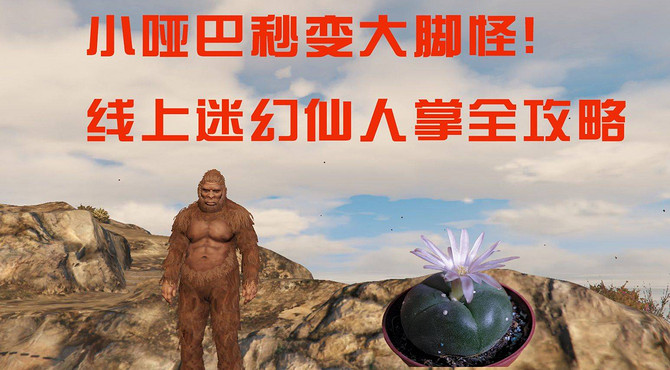 【GTA5】教你快速变身大脚怪, 线上迷幻仙人掌位置全攻略!