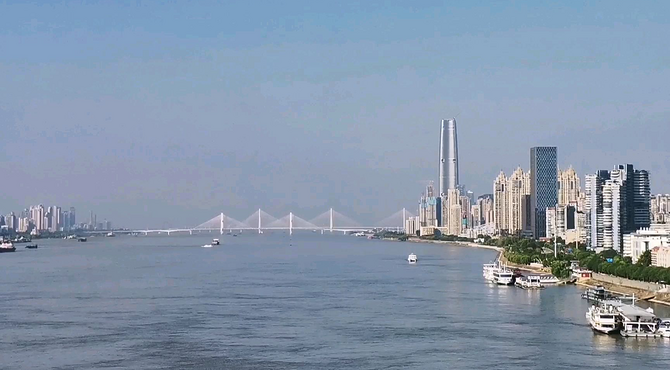 【交通vlog】武汉公交电1路通过长江大桥
