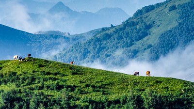 【初遇坝上·七彩草原2日】超值特价丨丰宁坝上草原+神仙谷七彩森林+闪电湖+草原骑马+篝火晚会+赠送烤全羊赠送正餐