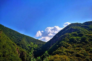 【北京一周一山·秋林铺】中级丨15公里丨徒步穿越秋林铺-百草畔-百花山+赏白桦林与高山草甸美景~