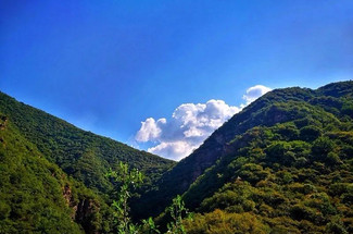 【北京一周一山·秋林铺】中级丨15公里丨徒步穿越秋林铺-百草畔-百花山+赏白桦林与高山草甸美景~