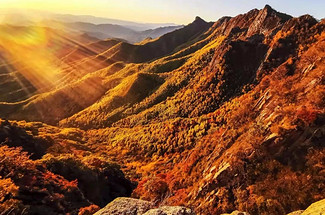 【北京一周一山·喇叭沟】初级丨12公里丨探索原始森林+白桦林徒步+赏秋观红叶+看层林尽染