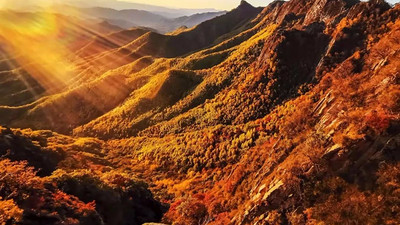 【北京一周一山·喇叭沟】初级丨12公里丨探索原始森林+白桦林徒步+赏秋观红叶+看层林尽染