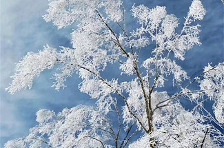 【北京一周一山·汗海梁】打卡塞北林海雪原+踏雪赏雾凇+徒步丈量冬日仙境~
