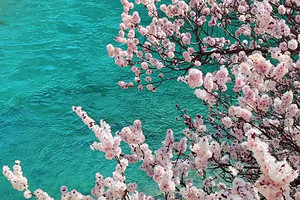 【绝色新疆·南疆塔莎杏花】木吉火山口 +塔莎古道+ 莎车古城 +班迪尔湖 +盘龙古道 +喀什 +大同乡+ 塔尔乡杏花7日游