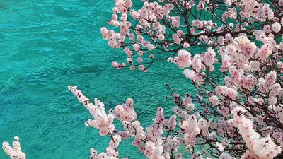 【绝色新疆·南疆塔莎杏花】木吉火山口 +塔莎古道+ 莎车古城 +班迪尔湖 +盘龙古道 +喀什 +大同乡+ 塔尔乡杏花7日游