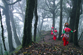 【又见云南 · 云南虫谷7日】哀牢山秘境+翁丁原始部落+西盟龙摩爷+音乐老达保+景迈山古茶园+翁基古寨+糯干古寨+景真八角亭+7天6晚