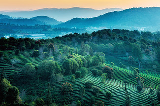 【又见云南 · 云南虫谷7日】哀牢山秘境+翁丁原始部落+西盟龙摩爷+音乐老达保+景迈山古茶园+翁基古寨+糯干古寨+景真八角亭深度游