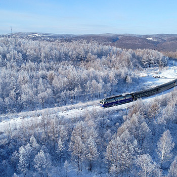 【雪国列车5日·4人SUV精品小团】漠河+北极村+北红村+圣诞村+龙江第一湾+中国最北点+白桦林+马拉爬犁+驯鹿+滑雪+深度纯玩~