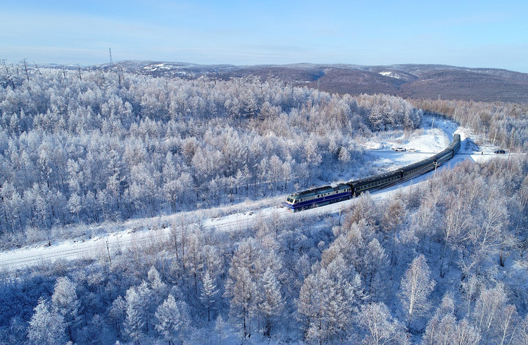 【雪国列车5日·4人SUV精品小团】漠河+北极村+北红村+圣诞村+龙江第一湾+中国最北点+白桦林+马拉爬犁+驯鹿+滑雪+深度纯玩~