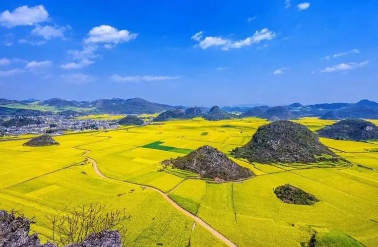 【云南千山花海·滇东南6日】昆明+圆通山樱花+抚仙湖+禄充景区+建水古城+元阳坝达梯田+多依树观日出+阿者科蘑菇屋+碧色寨+牛街螺丝田+罗平油菜花+金鸡峰+九龙瀑布+6天5晚休闲游+8-12人小团