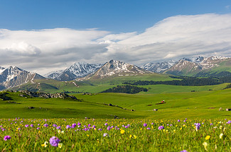 2026【行走北疆·喀拉峻小环线4日/5日】伊宁+特克斯八卦城+喀拉峻+塔里木河+赛里木湖+4日/5日徒步之旅