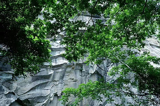 【北京一周一山·藤萝谷】初级丨8公里丨徒步山野秘境+漫步藤蔓山谷