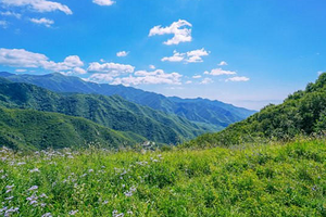 【北京一周一山·海坨山南大梁】初级丨10公里徒步丨近观大小海坨山+高山草甸+云海缭绕！