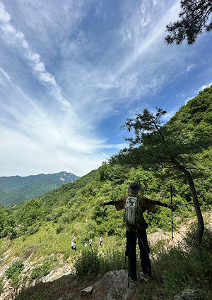 '王少：还不去追岁月和年华的列车