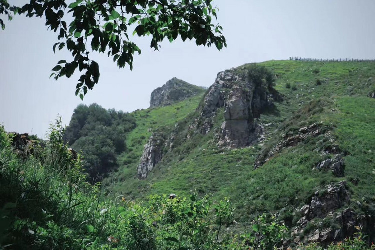 【北京一周一山·黄花梁】初级丨10公里徒步丨北京最美山脊路线+徒步高山草甸+打卡京西“小瑞士”
