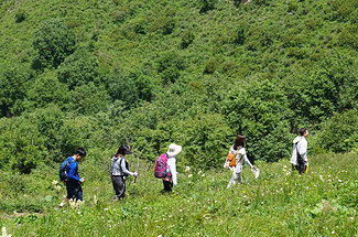 【北京一周一山·黄草梁】早鸟优惠来袭丨京西古道上的高山驿站：黄草梁徒步穿越‌丨高山草甸金辉染，古道长城岁月痕~