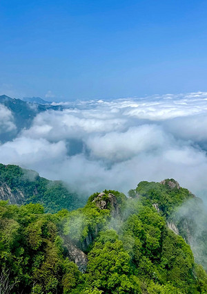 怪兽：户外爬山