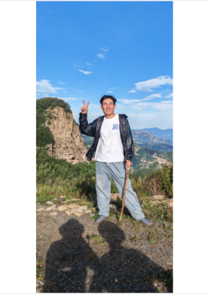 果砸：凡心所向，素履以往