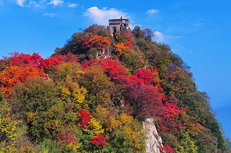 【北京一周一山·红叶岭】漫山红遍处，我在红叶岭等你：长城脚下的红叶诗，在红叶岭，遇见北京最浓烈的秋天