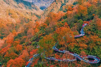 【遇见光雾山·深度摄影6日】10人旅拍团+西安出发+专业摄影师+无人机航拍+光雾山全天畅玩+香炉山云海+黎坪国家森林公园+黑熊沟+大小兰沟+十八月潭+狮子沟牧场+龙头山+深度摄影休闲6日游