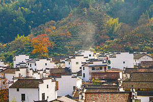 【醉美徽州秋色5日】黄山+宏村+塔川+婺源篁岭+婺源石城+菊径+瑶里古镇五天四夜