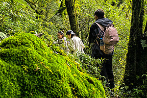 【行走云南 · 哀牢山秘境4日】昆明 +哀牢山+ 抚仙湖+ 麒麟山+ 4日活动