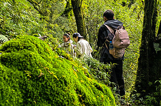 【行走云南 · 哀牢山秘境5日】昆明+哀牢山+元阳梯田+南恩瀑布+建水古城5日