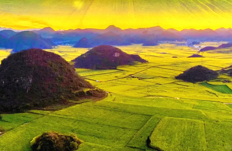 【云南千山花海·滇东南+滇东北12日】昆明+圆通山樱花+东川红土地+抚仙湖+南恩瀑布+哀牢山+建水古城+元阳梯田+河口+普者黑+坝美+罗平油菜花+12人摄影小团+2-12人小包团