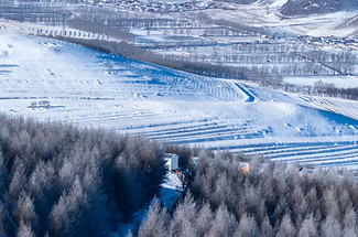 【北京一周一山·桦皮岭】休闲丨8公里丨漫步白桦林+打卡童话世界