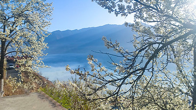 【大美梨·花春染川西·8人纯玩小团】赏梨花+观贡嘎雪山+四姑娘山双桥沟+牛背山+金川梨花+墨石公园+中路藏寨+红海子+木雅大寺6日·半自由行