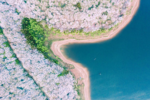 【花季贵州·黔东南7日】平坝樱花+荔波小七孔+西江千户苗寨+镇远古城+梵净山+黄果树瀑布+长桌宴+2-8人小包团&8人拼团7日游