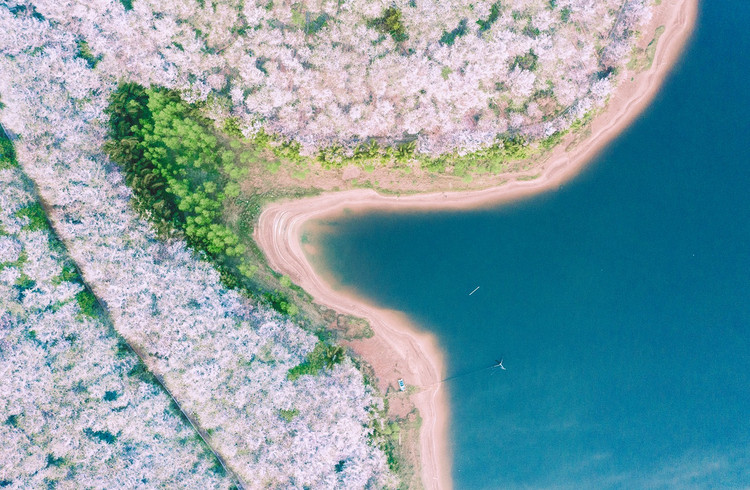 【花季贵州·黔东南7日】平坝樱花+荔波小七孔+西江千户苗寨+镇远古城+梵净山+黄果树瀑布+长桌宴+2-8人小包团&8人拼团7日游