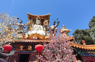 【北京一周一山·白瀑寺】休闲级丨12公里丨深山访古寺+打卡辽代魔幻寺庙