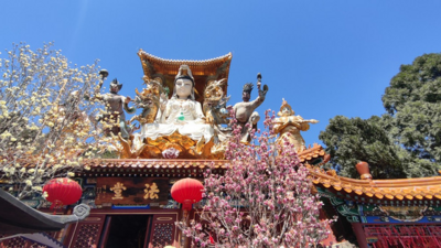 【北京一周一山·白瀑寺】休闲级丨12公里丨深山访古寺+打卡辽代魔幻寺庙