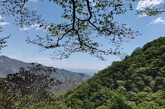 【北京一周一山·桃源仙谷】徒步探索春日秘境+自然美景与户外挑战的完美结合