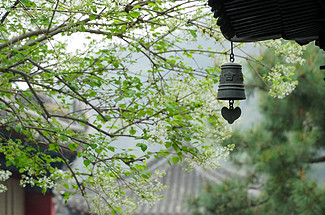 【北京一周一山·白瀑寺】‌闯入冬日玄幻世界+探访京西辽代最魔幻的寺庙~