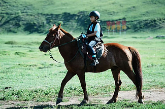 【丰宁坝上草原野骑】自驾3天2晚/2天1晚可选丨一价全含+丰宁坝上草原骑马+含教练+新手教学