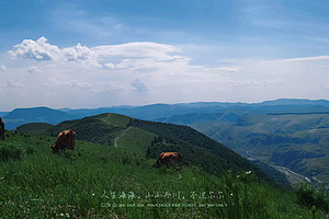 【北京一周一山·饮牛渠】初级丨15公里丨打卡绝美高山草甸+牛羊成群+漫步原生态森林氧吧！