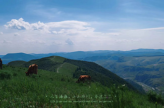 【北京一周一山·饮牛渠】初级丨15公里丨打卡绝美高山草甸+牛羊成群+漫步原生态森林氧吧！